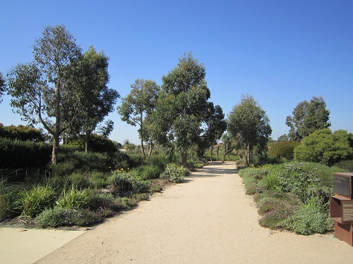 オーストラリアン ガーデン @ Royal Botanic Gardens Cranbourne_d0154118_20381655.jpg