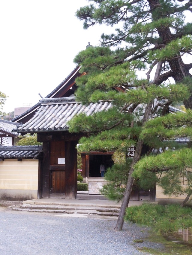 京都　Kyoto_c0213220_22431783.jpg