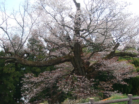 b0089323_17295256.jpg