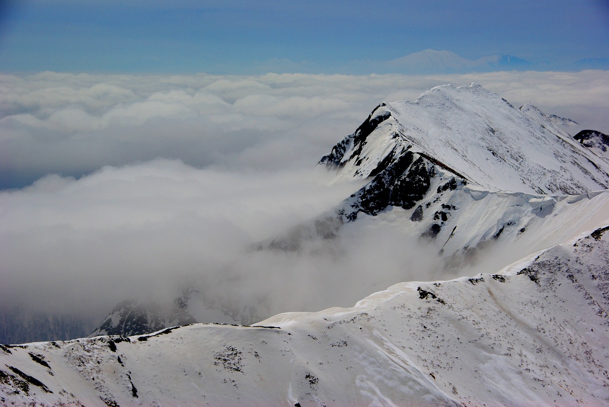 b0062024_8524560.jpg