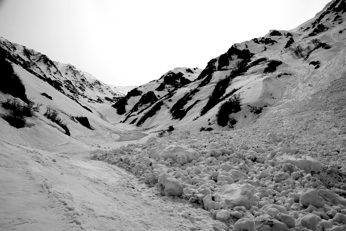 b0062024_8593796.jpg