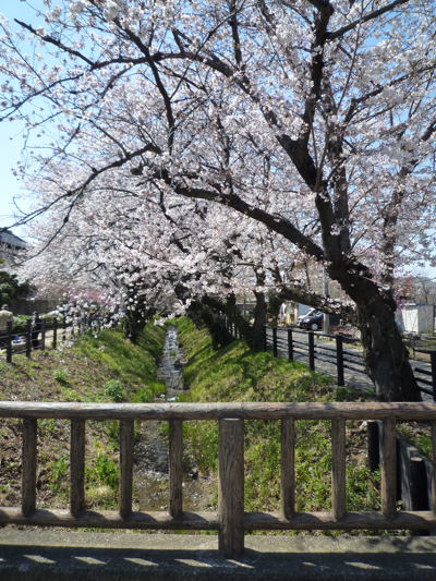 c0004024_8591573.jpg