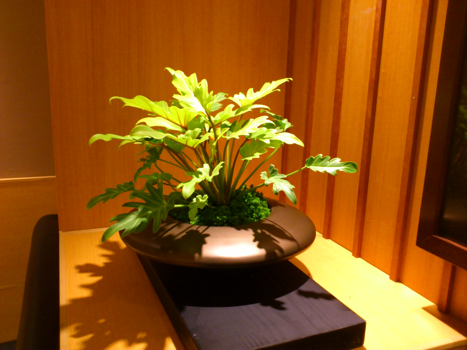 e0128024_15501411.jpg