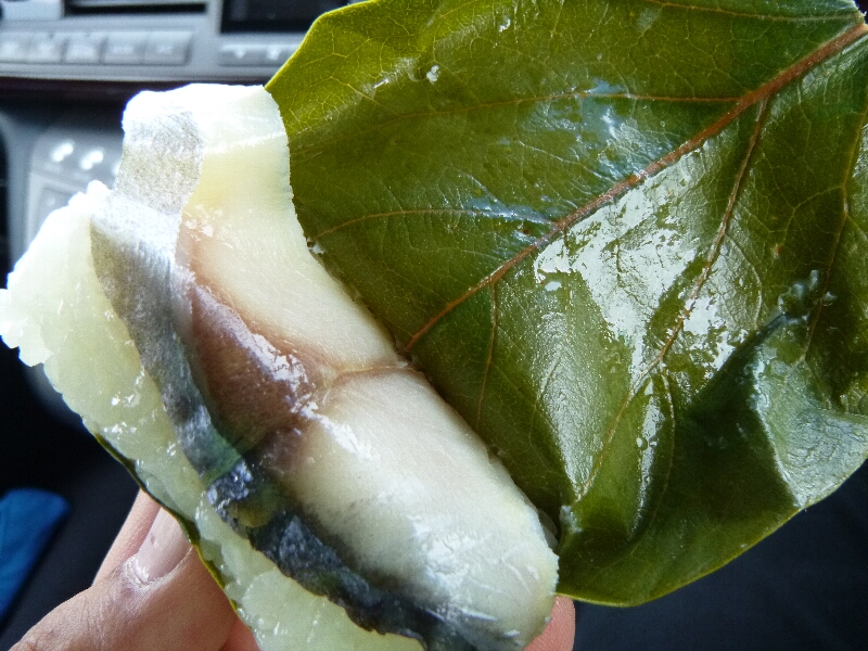 c0113733_0312555.jpg
