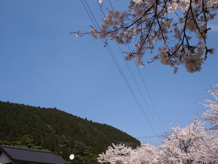 a0239435_1431927.jpg