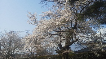 f0161535_0235512.jpg