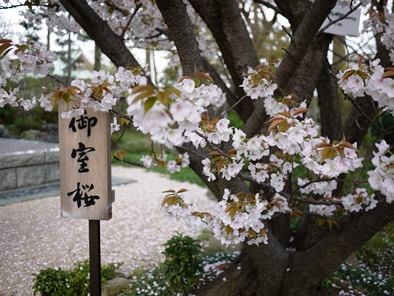 f0232136_11592450.jpg