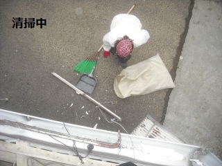 修理工事 ポリカ波板 他_f0031037_2195164.jpg