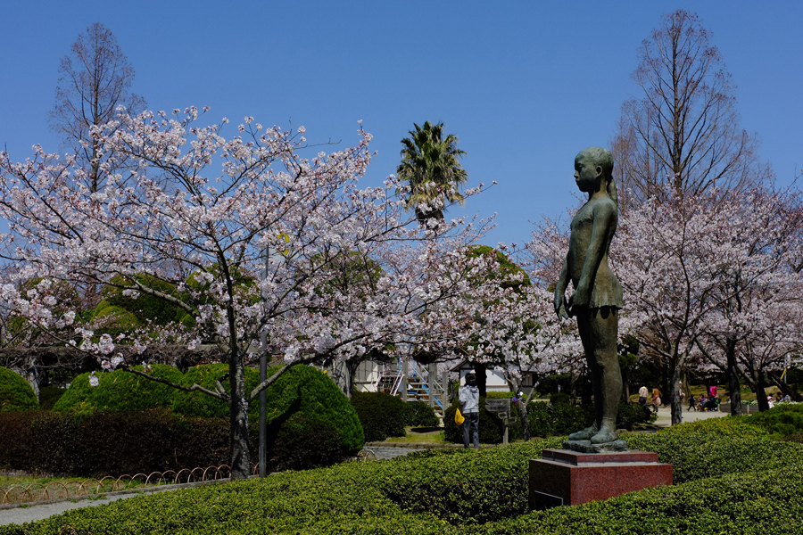 桜桜（佐賀市神野公園・多布施川にて）_c0014538_17155755.jpg