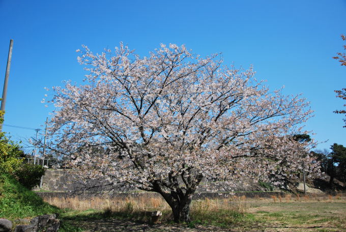 初崎公園_c0132938_12503371.jpg