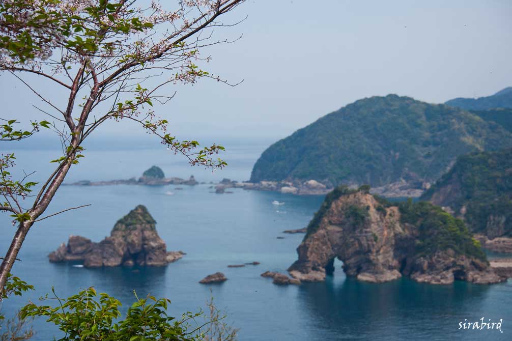 夜と昼間の西海岸_d0238245_1454928.jpg