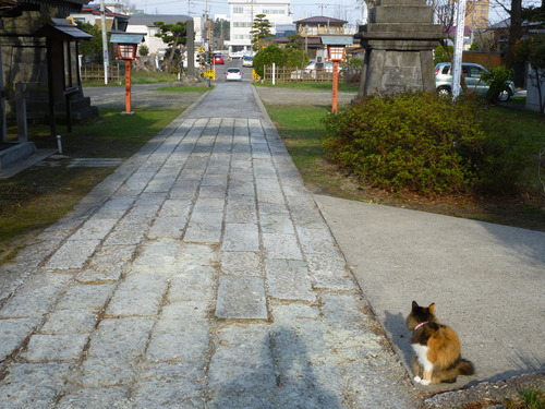b0238249_19402334.jpg