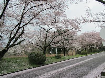 f0064449_10313588.jpg