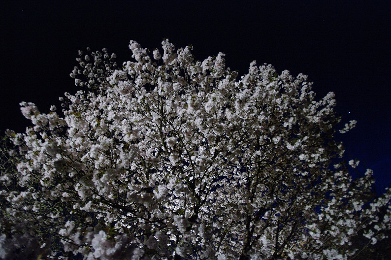 f0152550_21325591.jpg