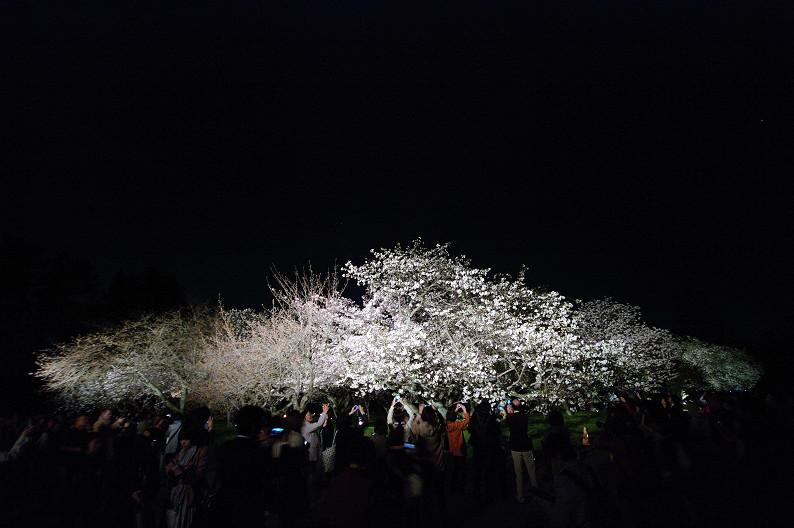 f0152550_21332212.jpg