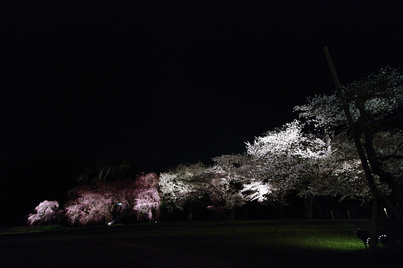 f0152550_21343354.jpg