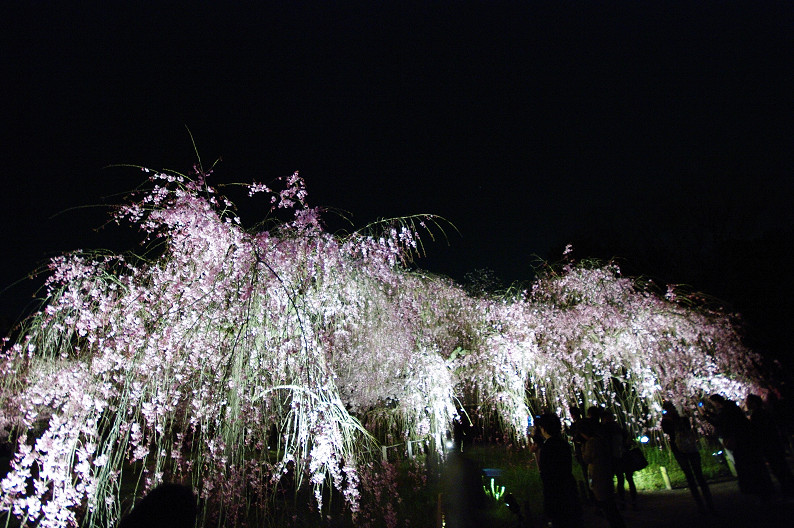f0152550_21345460.jpg