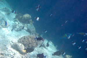 f0190653_10372297.jpg