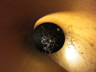 c0220154_10245232.jpg