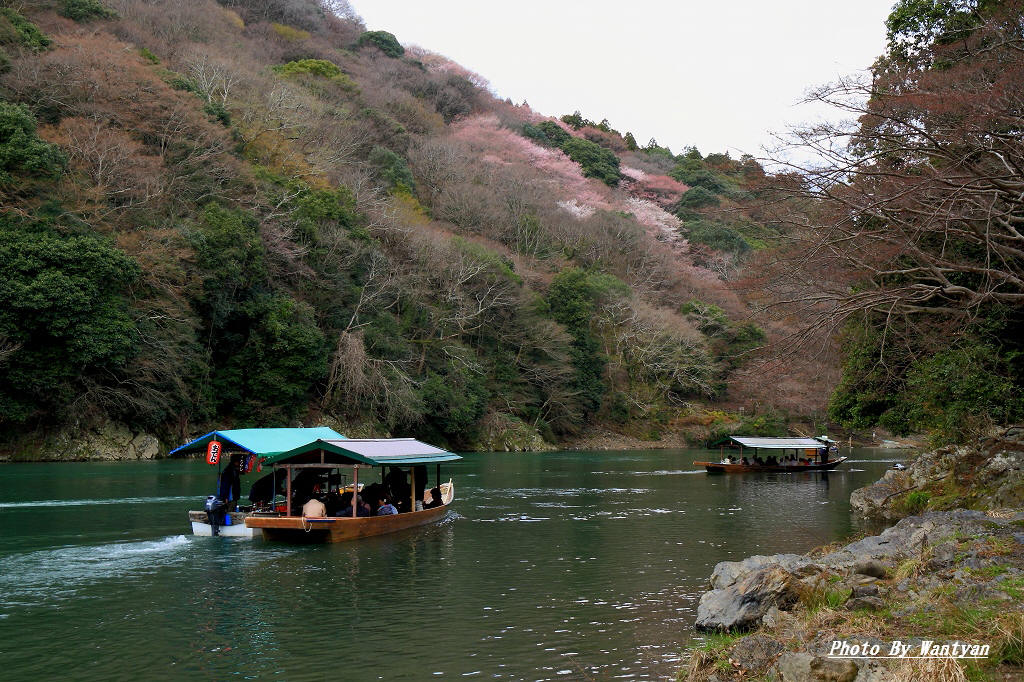 嵐山（嵯峨野）　　　2012－04－18　更新_e0229455_1191015.jpg