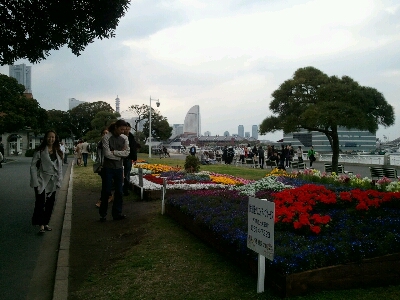 山下公園は花園だ～♪_f0171559_18423389.jpg