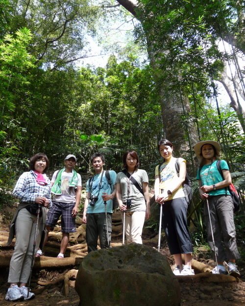 MANOA FALLS TRAIL_a0132260_1504862.jpg