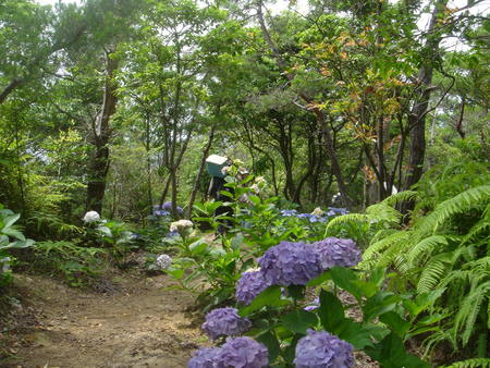 c0108460_13771.jpg