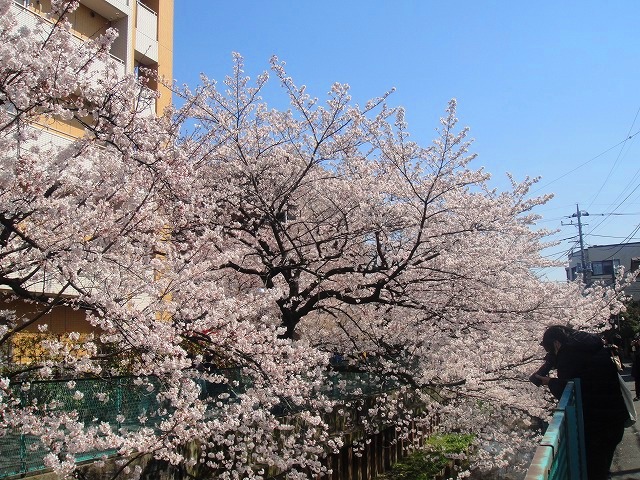 c0119160_82202.jpg