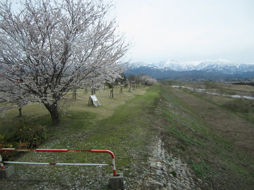 地鉄でさくら☆車窓より_a0243562_191032.jpg