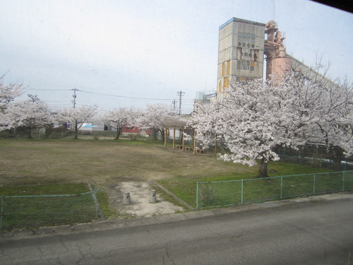 富山地鉄のさくらマップ２０１３＠相ノ木駅～上市駅_a0243562_1972292.jpg