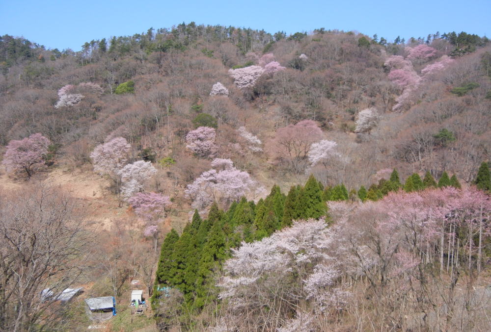 b0129962_16103484.jpg