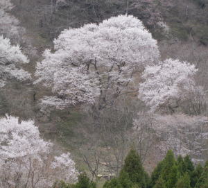 b0129962_1624547.jpg