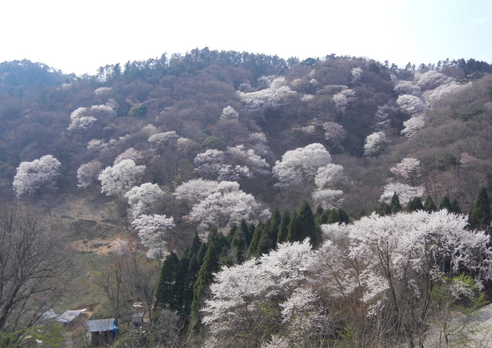 b0129962_16263311.jpg