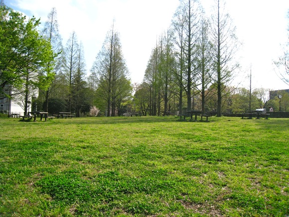 d0157764_21174980.jpg