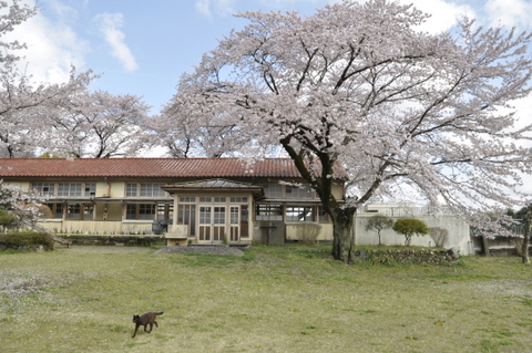 小川町下里分校2012_a0212365_2019128.jpg