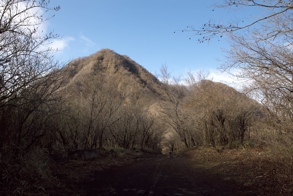 箱根・金時山_f0171065_2256987.jpg