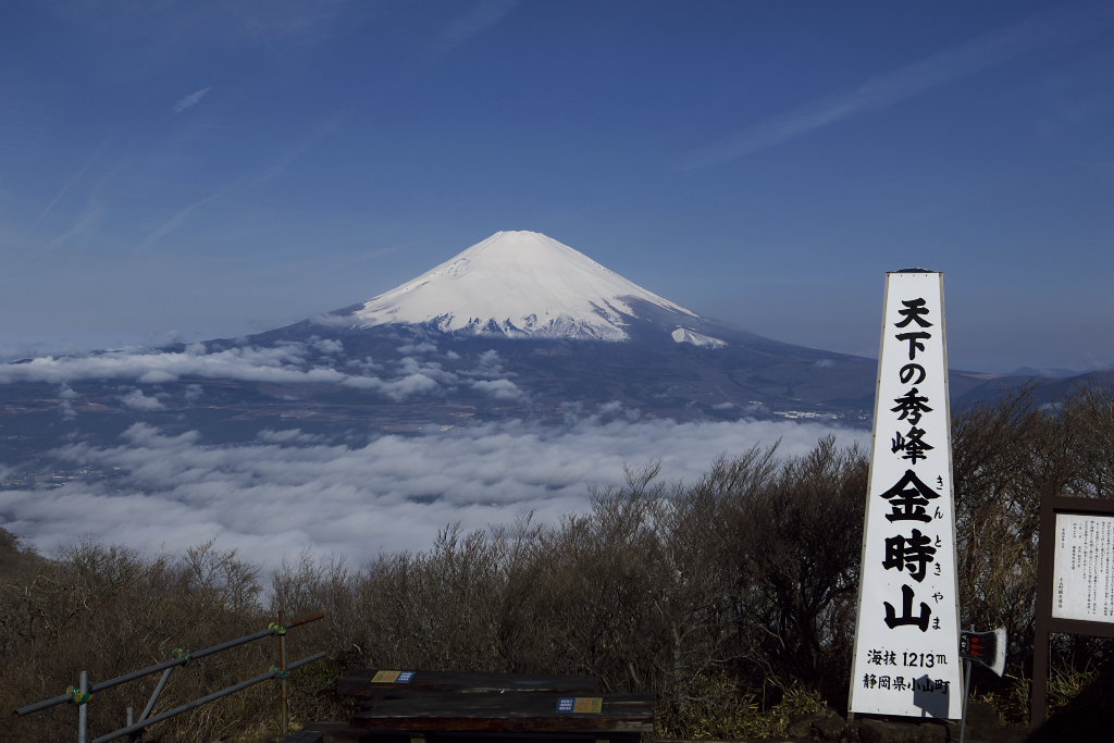 箱根・金時山_f0171065_2259787.jpg