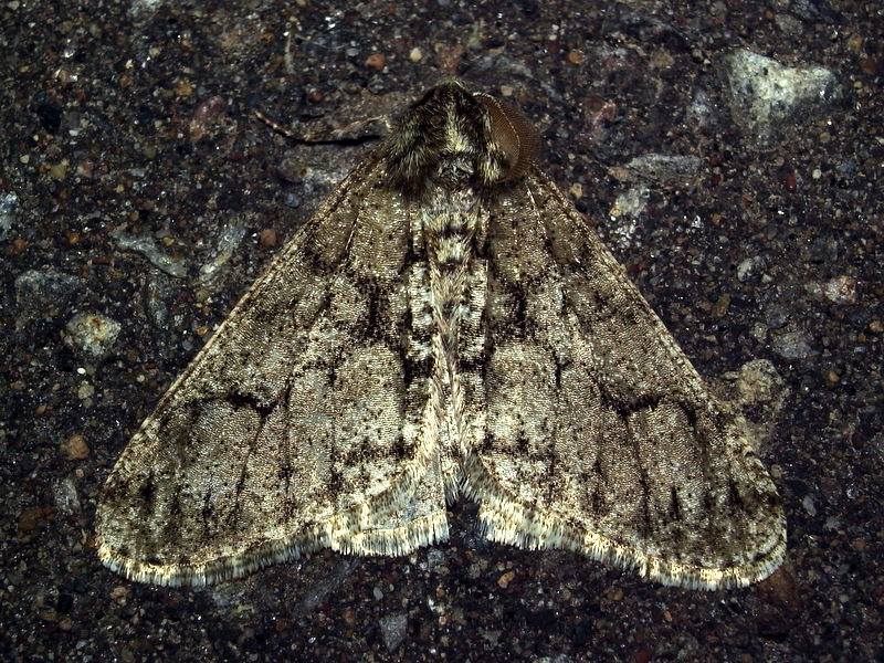 b0130166_19541645.jpg