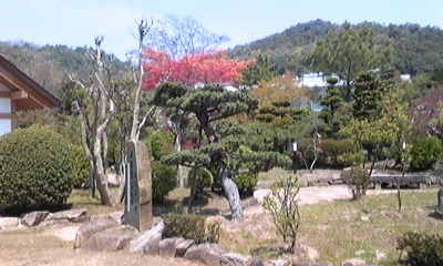 早稲田神社。。。_e0143667_15235753.jpg