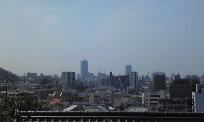 早稲田神社。。。_e0143667_1593512.jpg