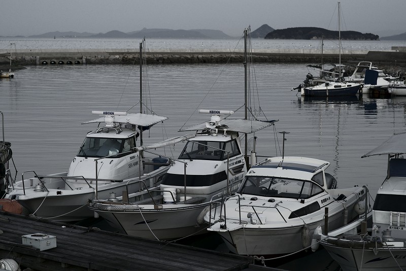 b0198768_22342556.jpg