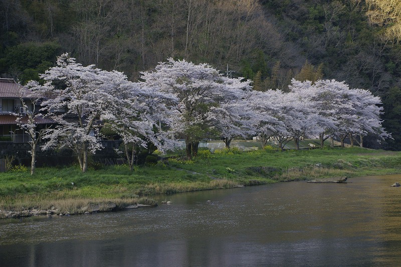 b0198768_2254018.jpg