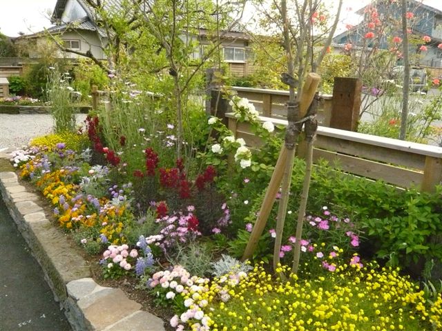 鹿児島の皆さんようこそ_b0137969_1940295.jpg