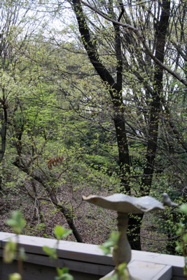 d0000274_13431875.jpg
