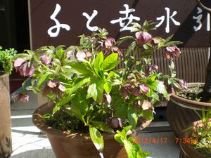 ゴールデンウィーク期間中の営業について_b0150576_1174189.jpg