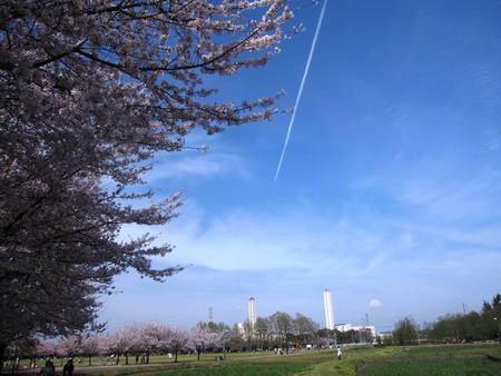 b0032079_0362859.jpg