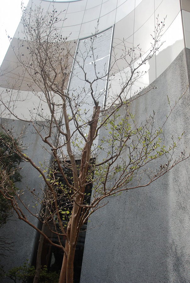 c0187781_22154092.jpg