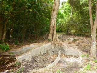 d0240983_66307.jpg