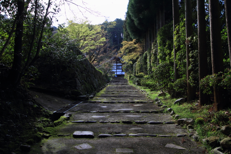 正伝寺_e0051888_21304440.jpg