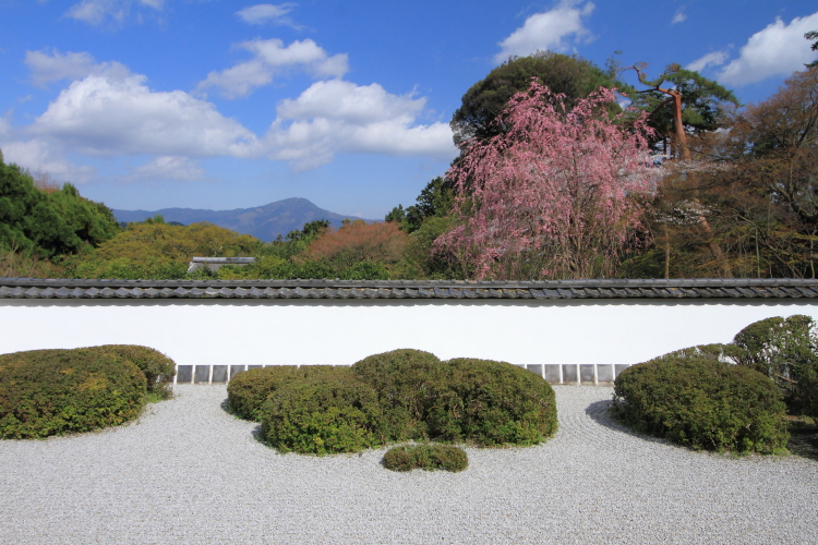 正伝寺_e0051888_21305548.jpg
